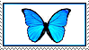 ID: Web stamp with the blue butterfly that used to be an old Microsoft Windows XP icon. End ID.